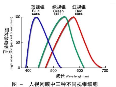 sensor对于相机成像的作