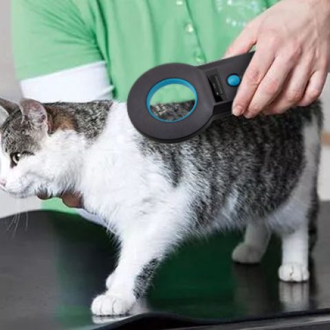 RFID宠物芯片是什么？